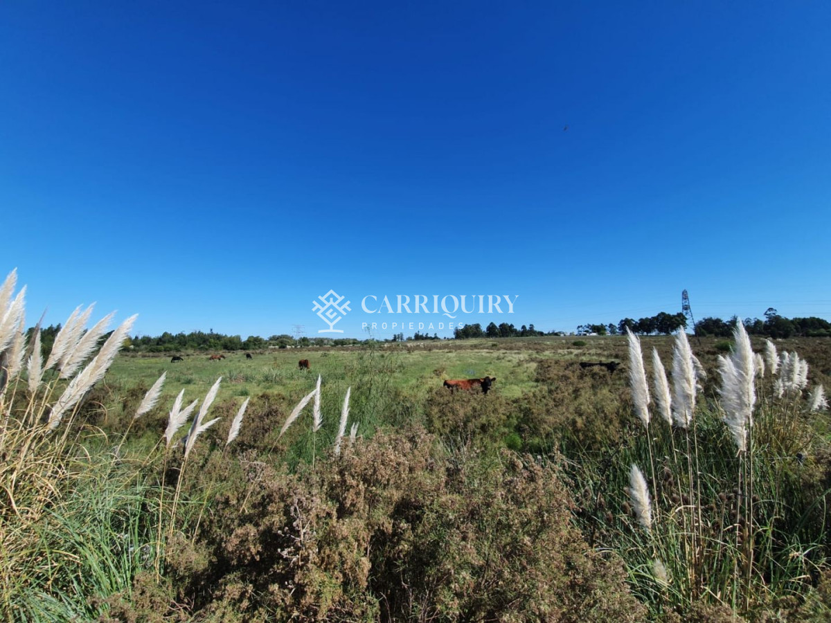 Venta de Campo en Montevideo Zona Rural - GoPunta - Portal Inmobiliario de Punta del Este - Maldonado