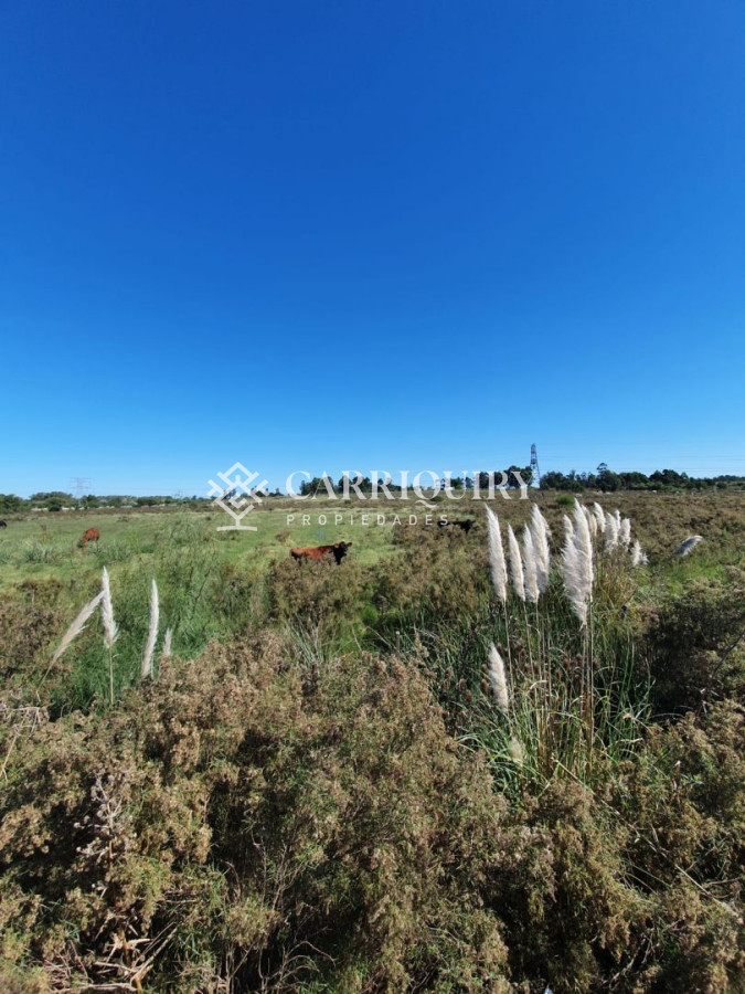 Venta de Campo en Montevideo Zona Rural - GoPunta - Portal Inmobiliario de Punta del Este - Maldonado