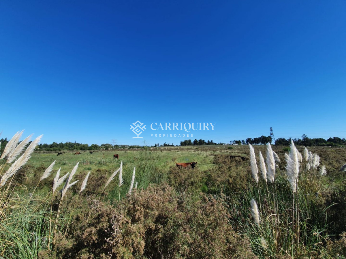 Venta de Campo en Montevideo Zona Rural - GoPunta - Portal Inmobiliario de Punta del Este - Maldonado