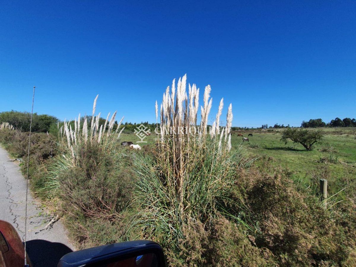 Venta de Campo en Montevideo Zona Rural - GoPunta - Portal Inmobiliario de Punta del Este - Maldonado
