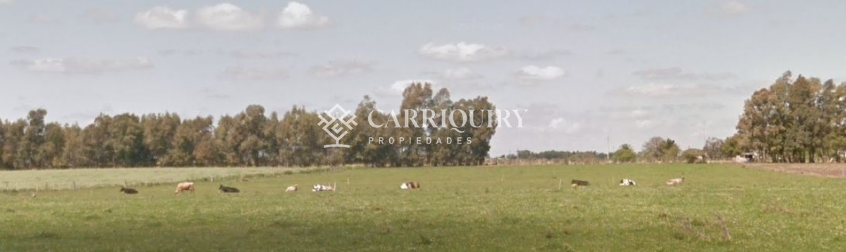 Campo en venta - GoPunta - Portal Inmobiliario de Punta del Este - Maldonado