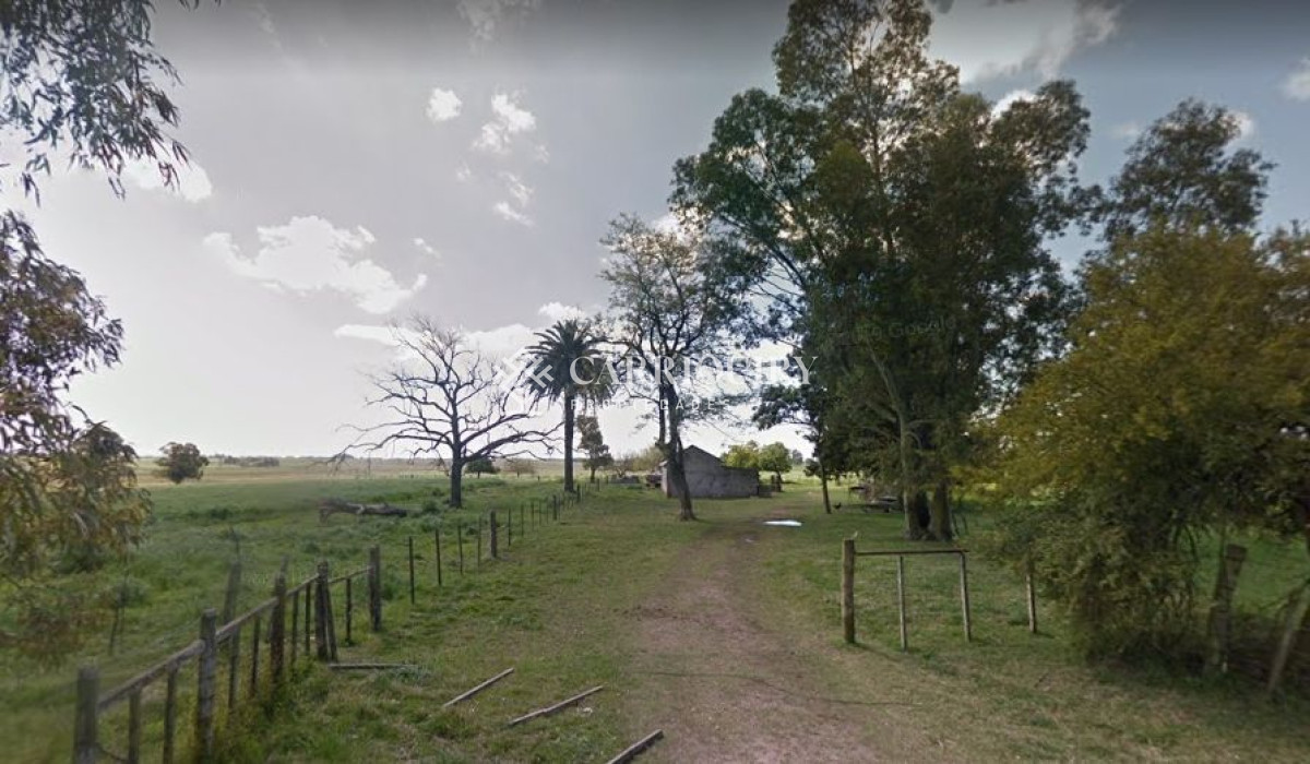 Campo en venta - GoPunta - Portal Inmobiliario de Punta del Este - Maldonado