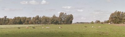 Campo en venta  