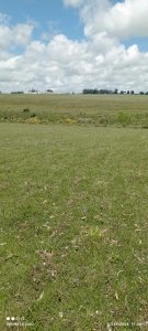 Chacra en venta, excelente oportunidad