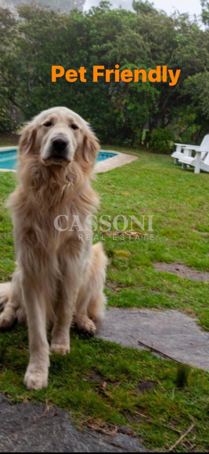 HERMOSA CASA DE 4 DORMITORIOS EN ALQUILER,  PUNTA DEL ESTE - Imagen 4