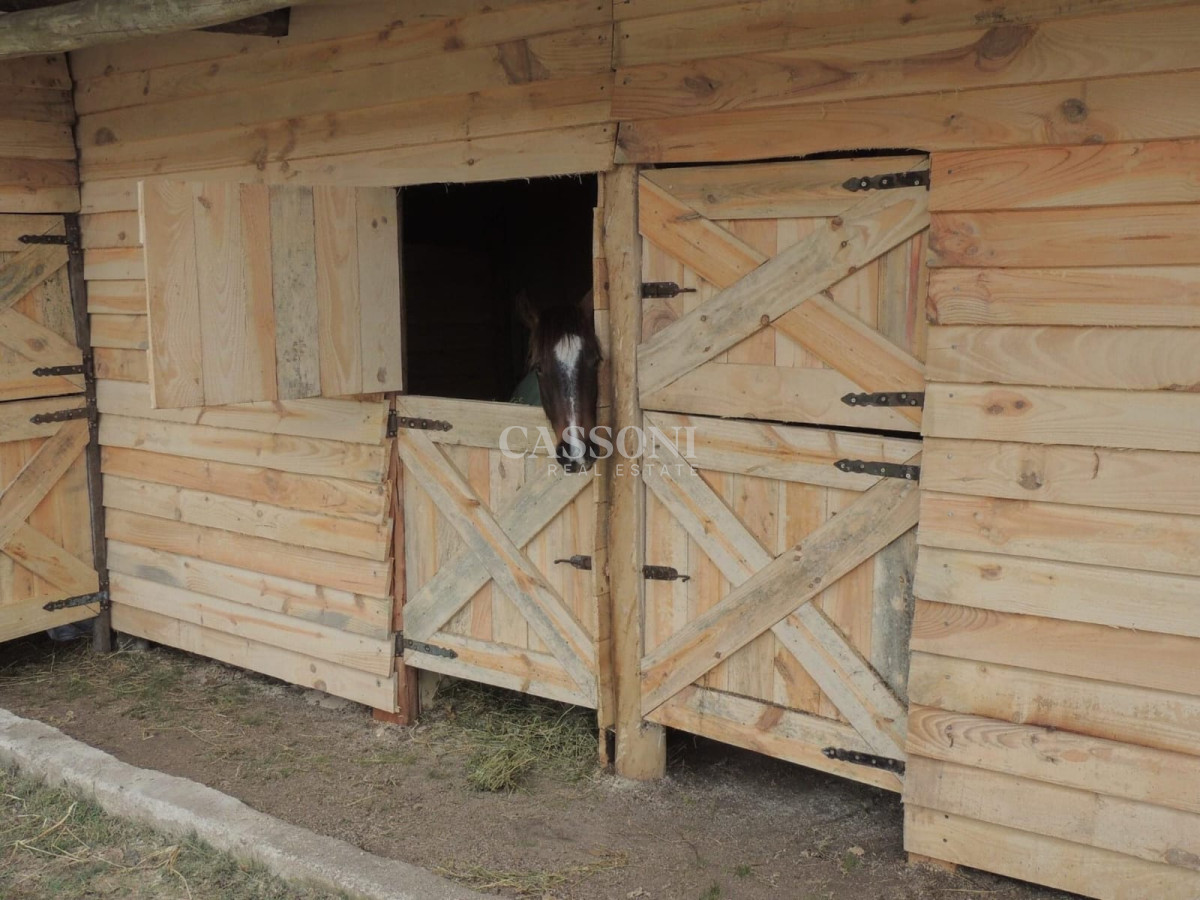 Venta Chacra En Ruta 12, Proxima a Pueblo Eden, 8 Has  - Imagen 19