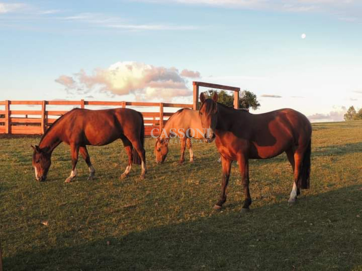 Venta Chacra En Ruta 12, Proxima a Pueblo Eden, 8 Has  - Imagen 20