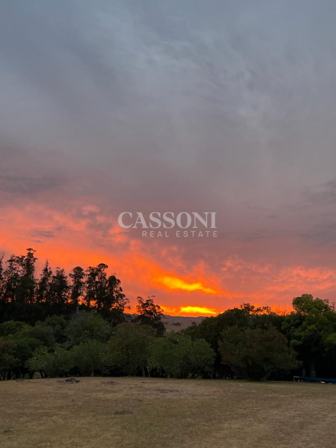 Venta Chacra En Ruta 12, Proxima a Pueblo Eden, 8 Has  - Imagen 13