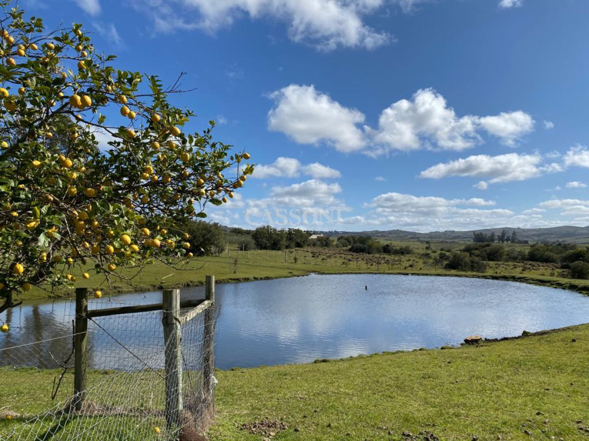 Venta Chacra En Ruta 12, Proxima a Pueblo Eden, 8 Has  - Imagen 18