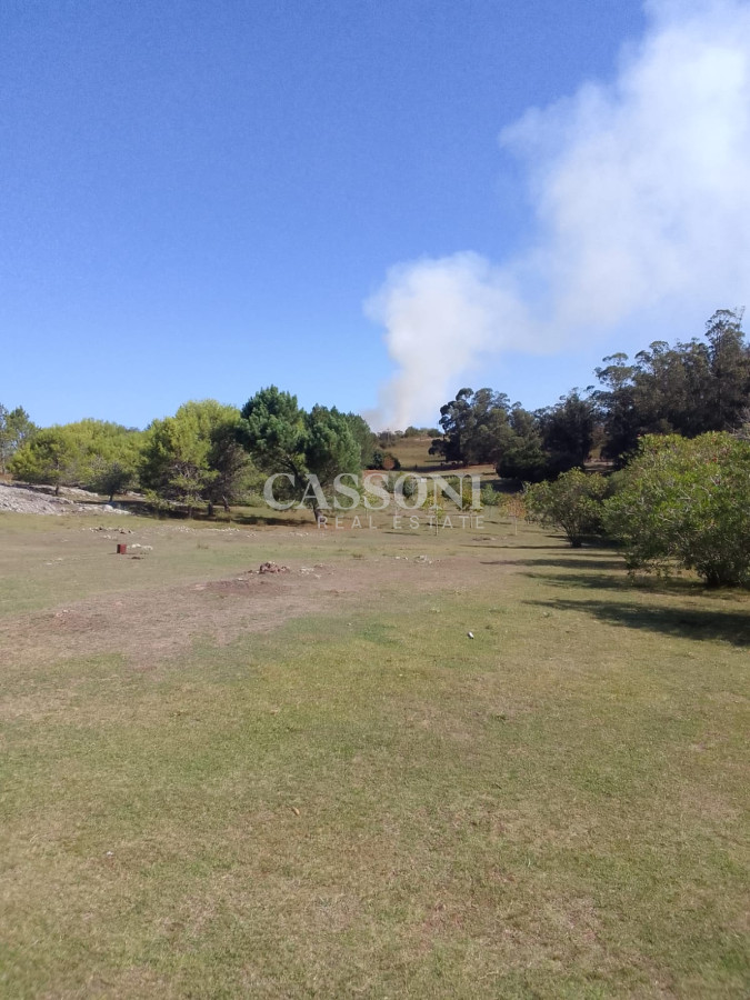 Venta Chacra En Ruta 12, Proxima a Pueblo Eden, 8 Has  - Imagen 12