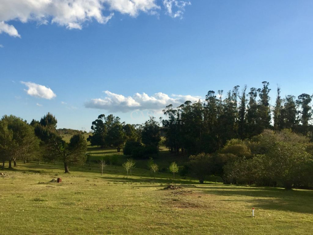 Venta Chacra En Ruta 12, Proxima a Pueblo Eden, 8 Has  - Imagen 15