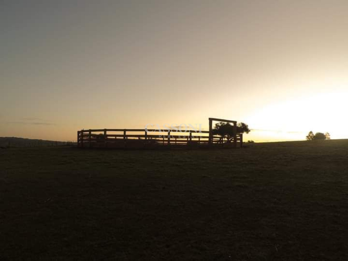 Venta Chacra En Ruta 12, Proxima a Pueblo Eden, 8 Has  - Imagen 17