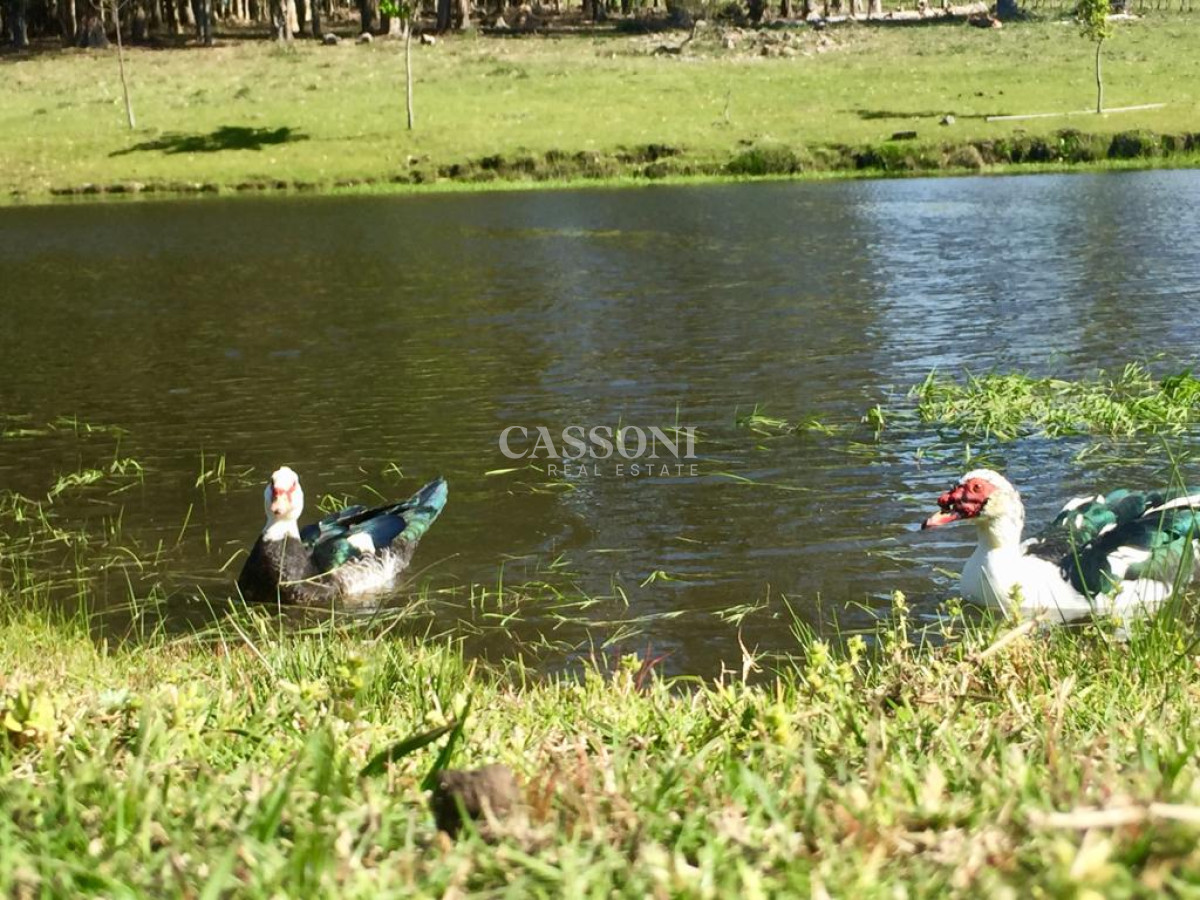 Venta Chacra En Ruta 12, Proxima a Pueblo Eden, 8 Has  - Imagen 16