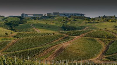 Campos en Garzon, aptos para Viñedos 