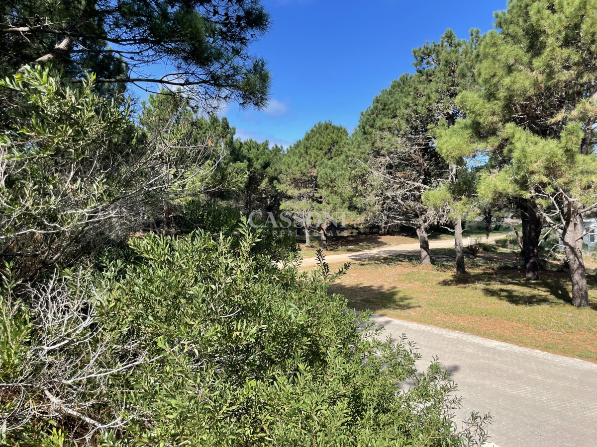 Entorno Exclusivo y Naturaleza Protagonista - Imagen 2