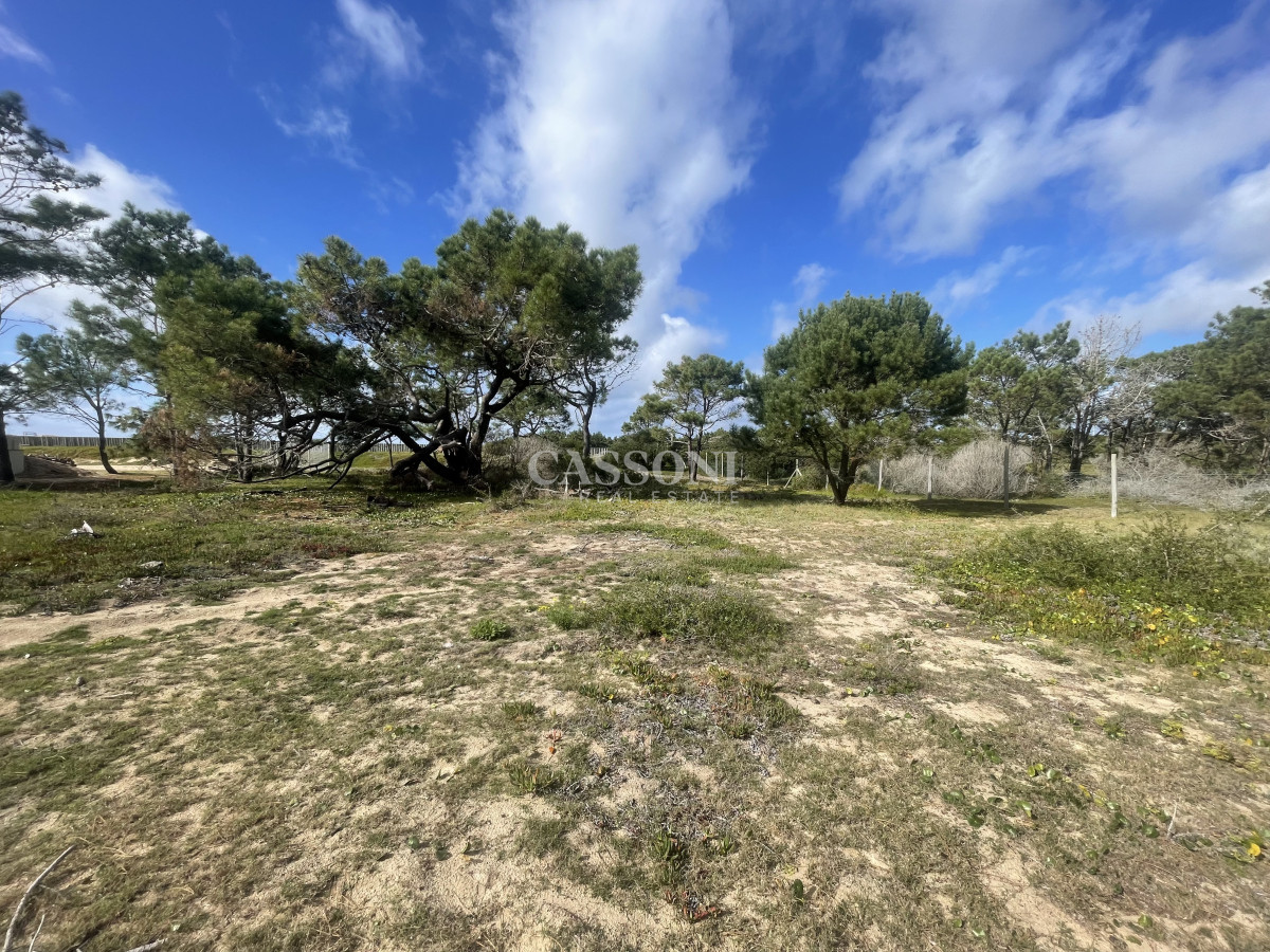 Un Refugio entre los Pinos y el Mar - Imagen 2