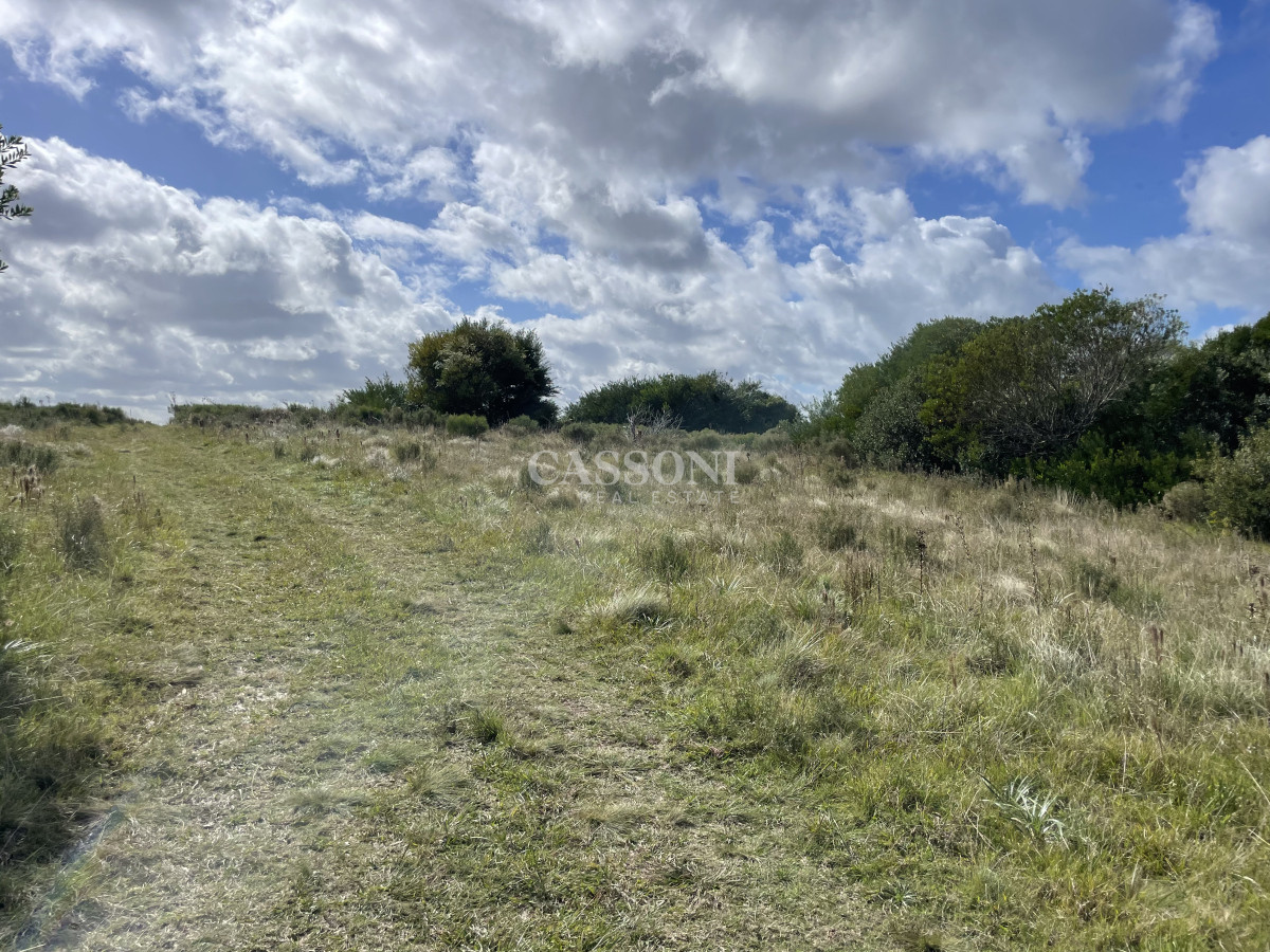 Un Proyecto con Vista al Futuro-laguna escondida