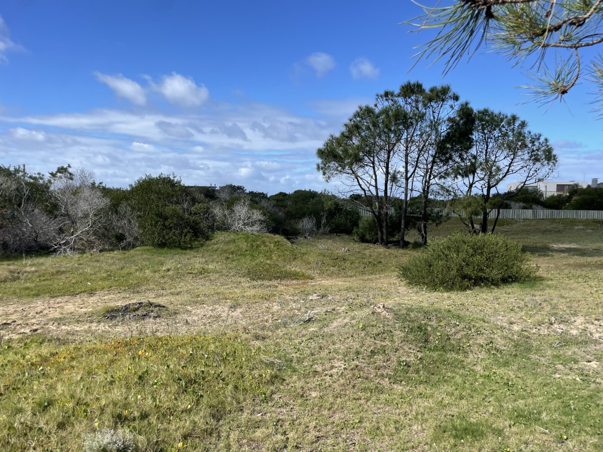 Primera Fila al Paisaje Más Exclusivo del Este