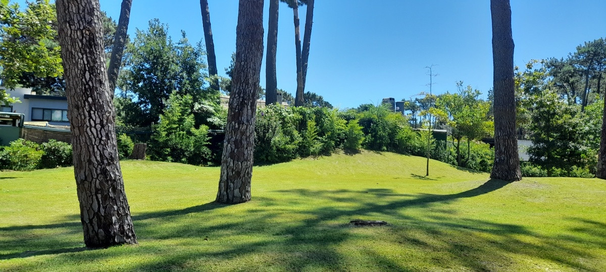 Terrenos en Pinares