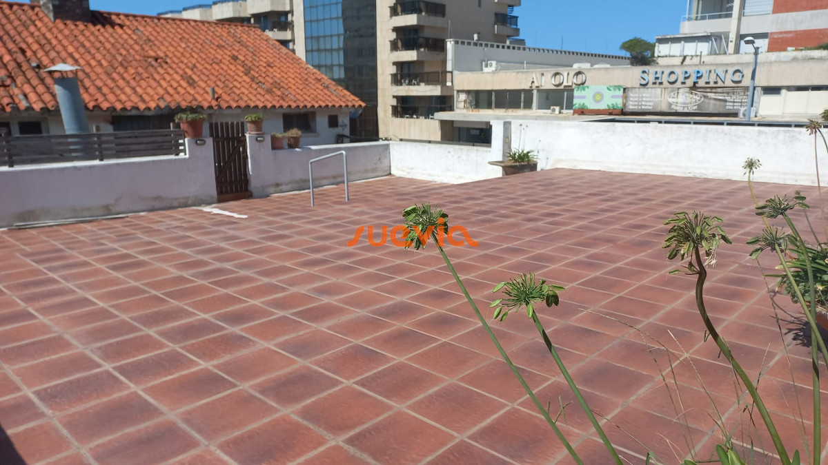 Punta del Este - GoPunta - Portal Inmobiliario de Punta del Este - Maldonado