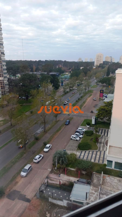 Roosevelt - GoPunta - Portal Inmobiliario de Punta del Este - Maldonado