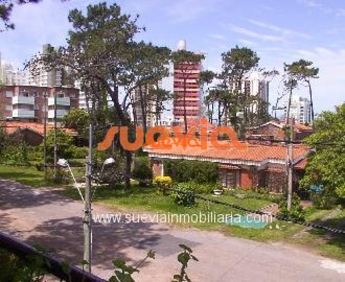 Aidy Grill - GoPunta - Portal Inmobiliario de Punta del Este - Maldonado