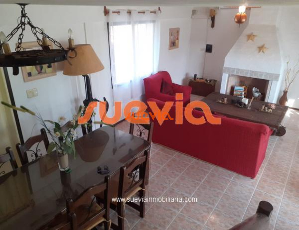 Tio Tom - GoPunta - Portal Inmobiliario de Punta del Este - Maldonado