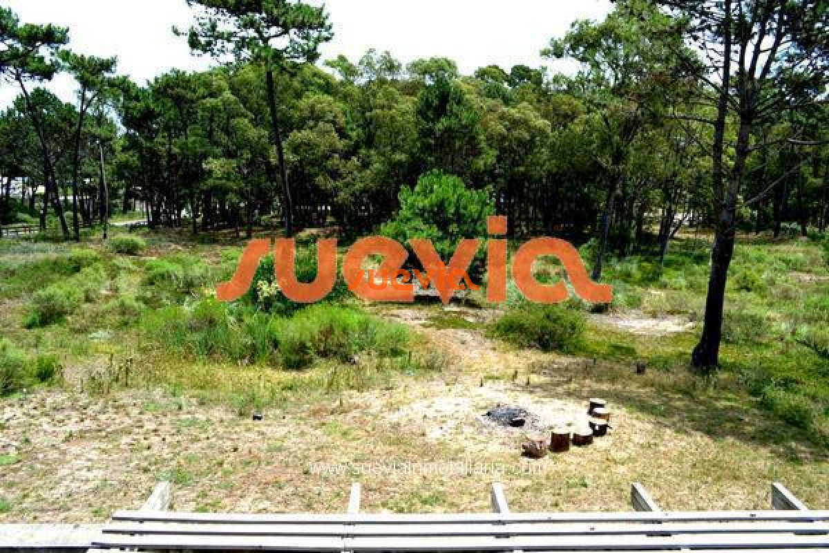 La Barra - GoPunta - Portal Inmobiliario de Punta del Este - Maldonado