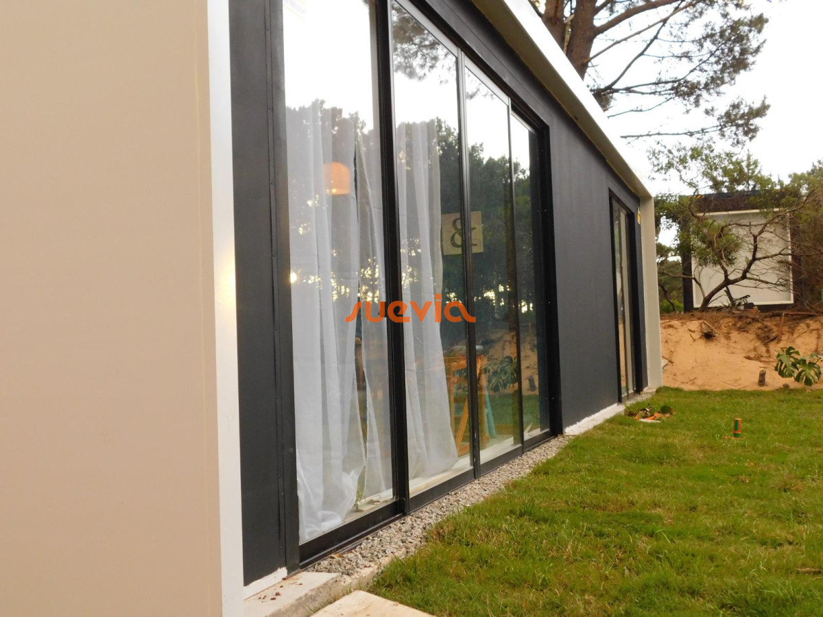 Chihuahua - GoPunta - Portal Inmobiliario de Punta del Este - Maldonado
