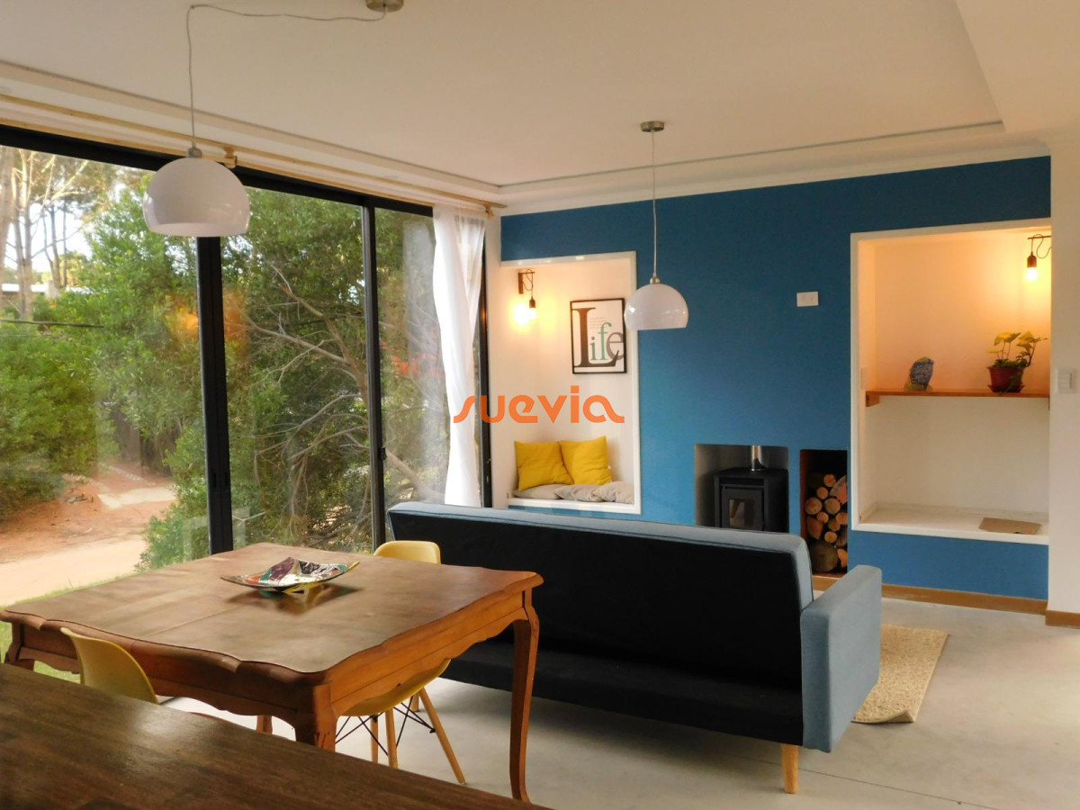 Chihuahua - GoPunta - Portal Inmobiliario de Punta del Este - Maldonado