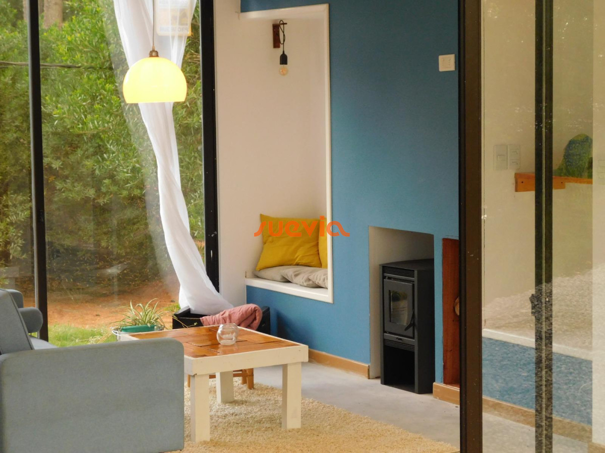 Chihuahua - GoPunta - Portal Inmobiliario de Punta del Este - Maldonado