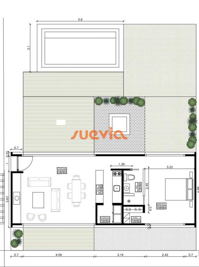 Chihuahua - GoPunta - Portal Inmobiliario de Punta del Este - Maldonado