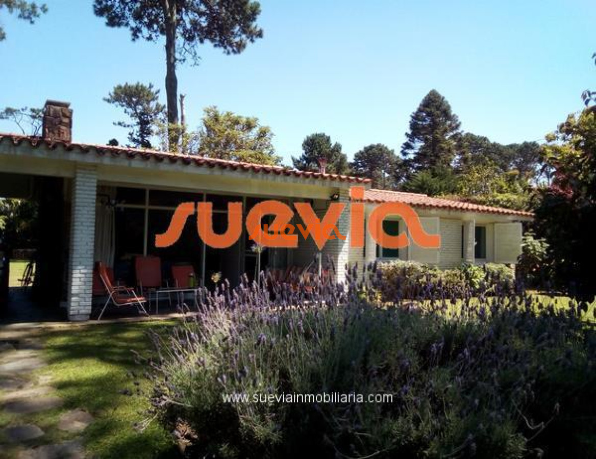 Lugano - GoPunta - Portal Inmobiliario de Punta del Este - Maldonado