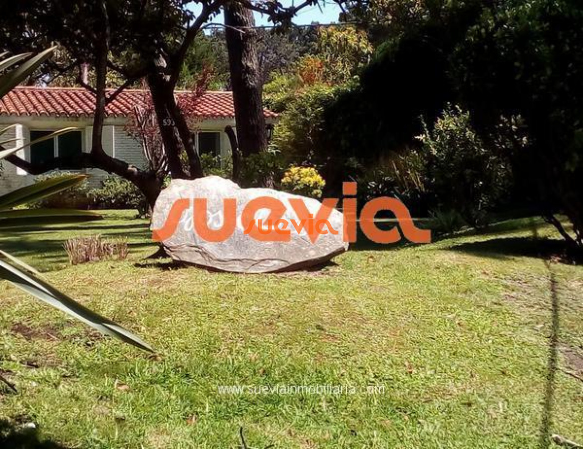 Lugano - GoPunta - Portal Inmobiliario de Punta del Este - Maldonado