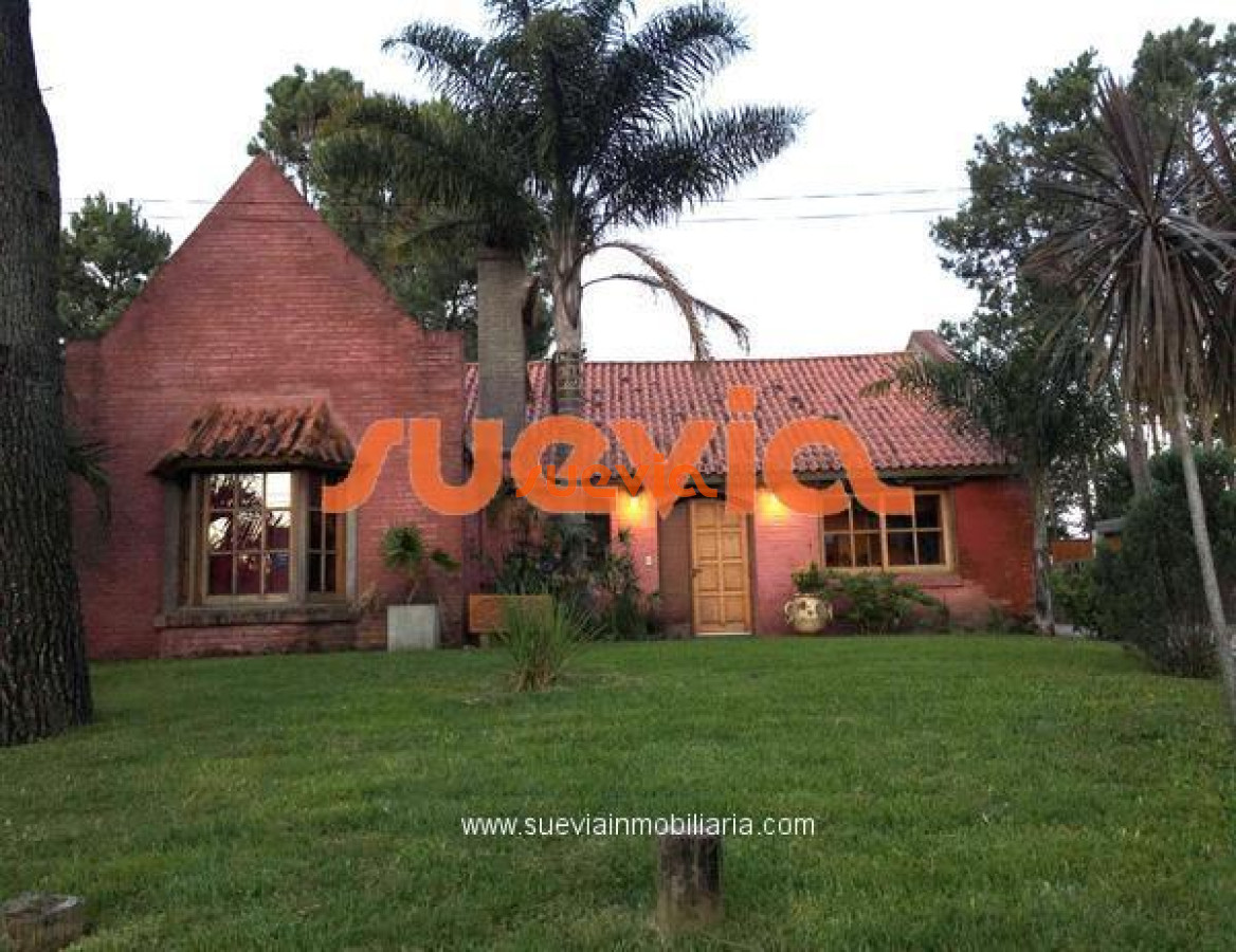 Tio Tom - GoPunta - Portal Inmobiliario de Punta del Este - Maldonado