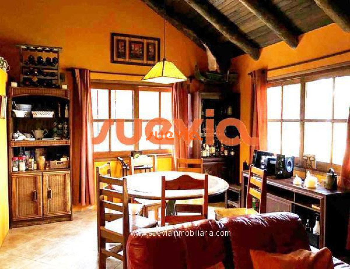 Tio Tom - GoPunta - Portal Inmobiliario de Punta del Este - Maldonado