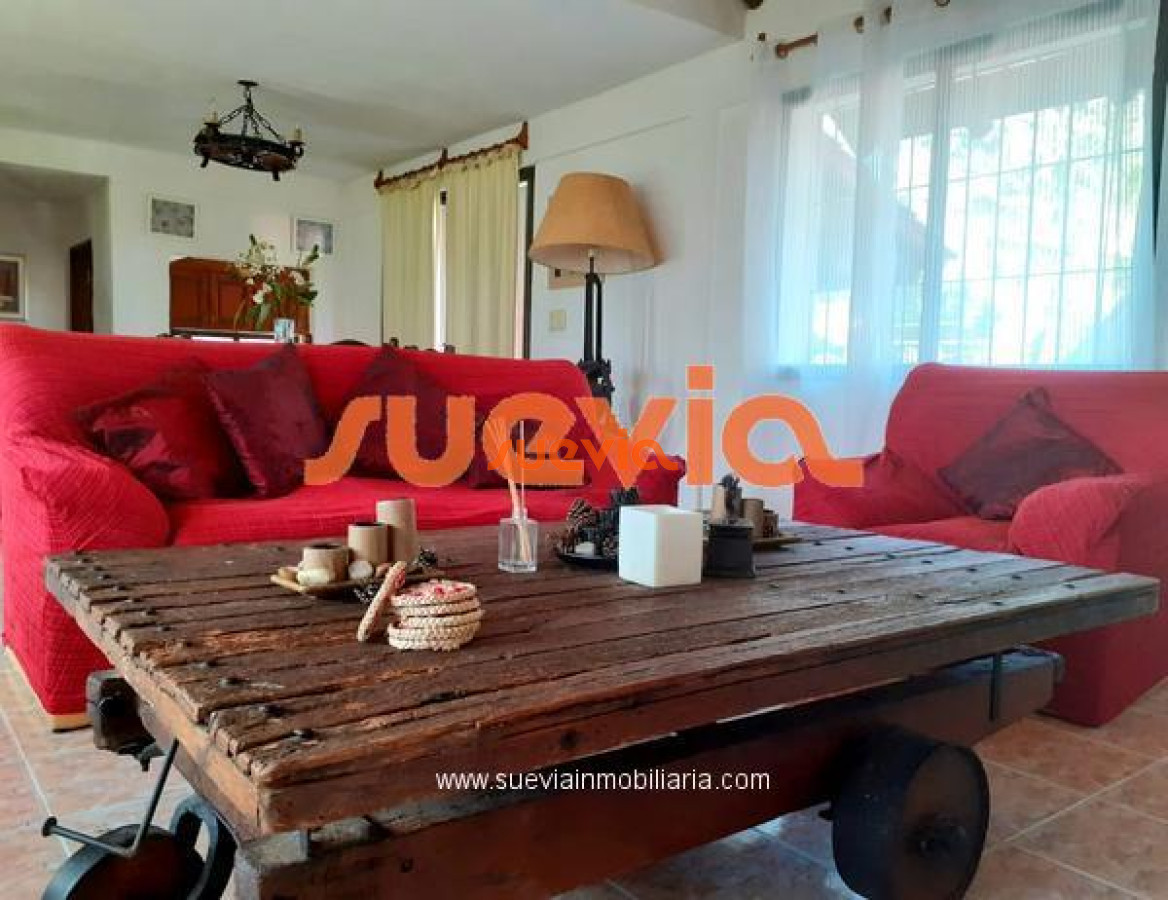 Tio Tom - GoPunta - Portal Inmobiliario de Punta del Este - Maldonado