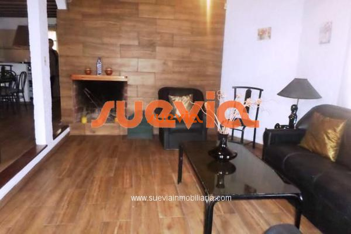 Tio Tom - GoPunta - Portal Inmobiliario de Punta del Este - Maldonado