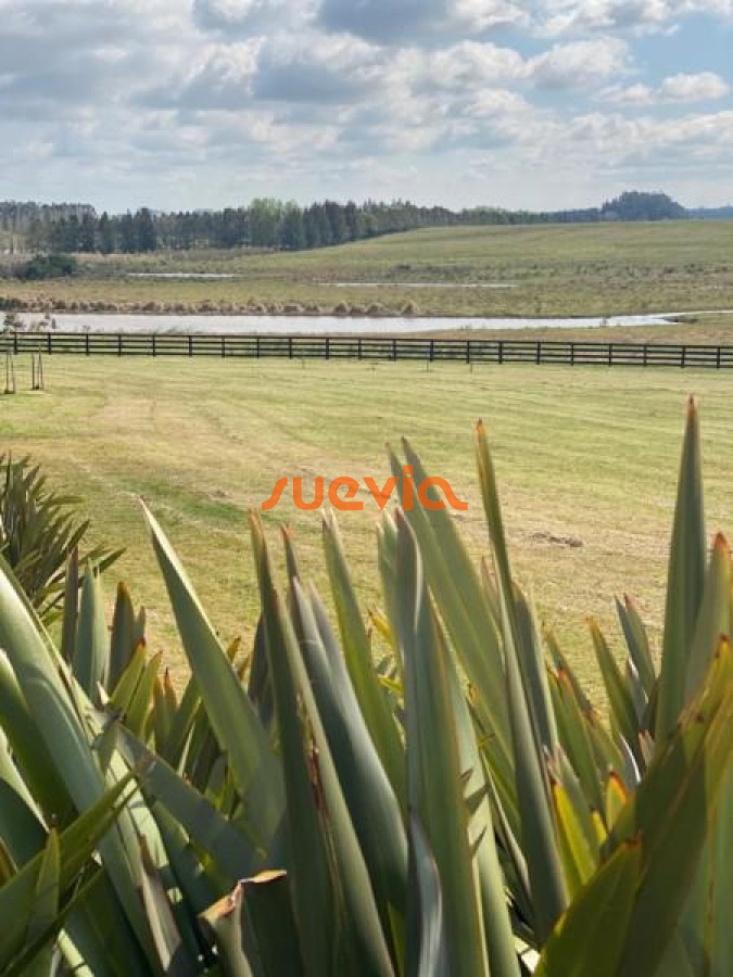 Pueblo Mio - GoPunta - Portal Inmobiliario de Punta del Este - Maldonado
