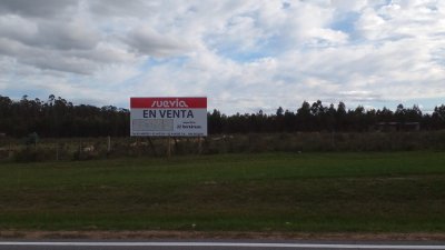 Importante Chacra sobre Ruta 104 Excelente ubicación