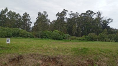 Terreno en barrio privado - Punta Ballena