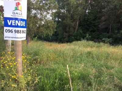 Terreno 1400 m2 , en Punta Ballena - Punta Ballena