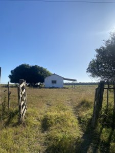 Chacra 16 ha Rocha 