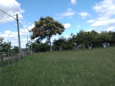 Terreno Paysandu 
