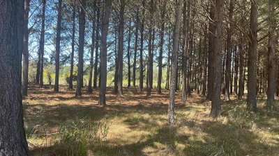 terreno chacras del pinar 