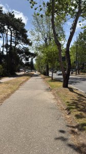 Venta Apartamento Pda.5 Punta del Este 1 y 1/2 dormitorio