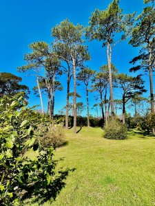 Terreno 3.436mt a 200mt del Mar con proyecto aprobado para altura! Playa Mansa