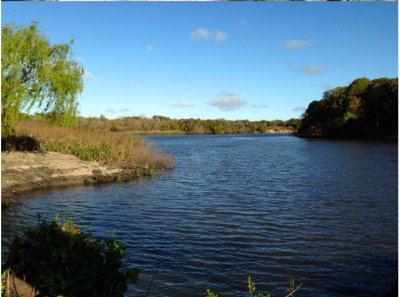 Venta Chacra Boca del Rosario Colonia 