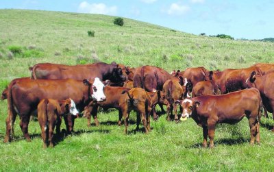 125Has Paraje Rincon Bravo, Rocha 