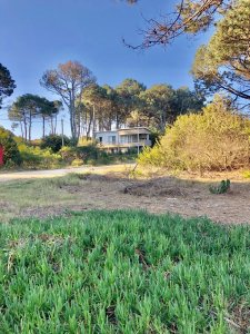 Venta Terreno 1000mt zona Chihuahua pronto para construir